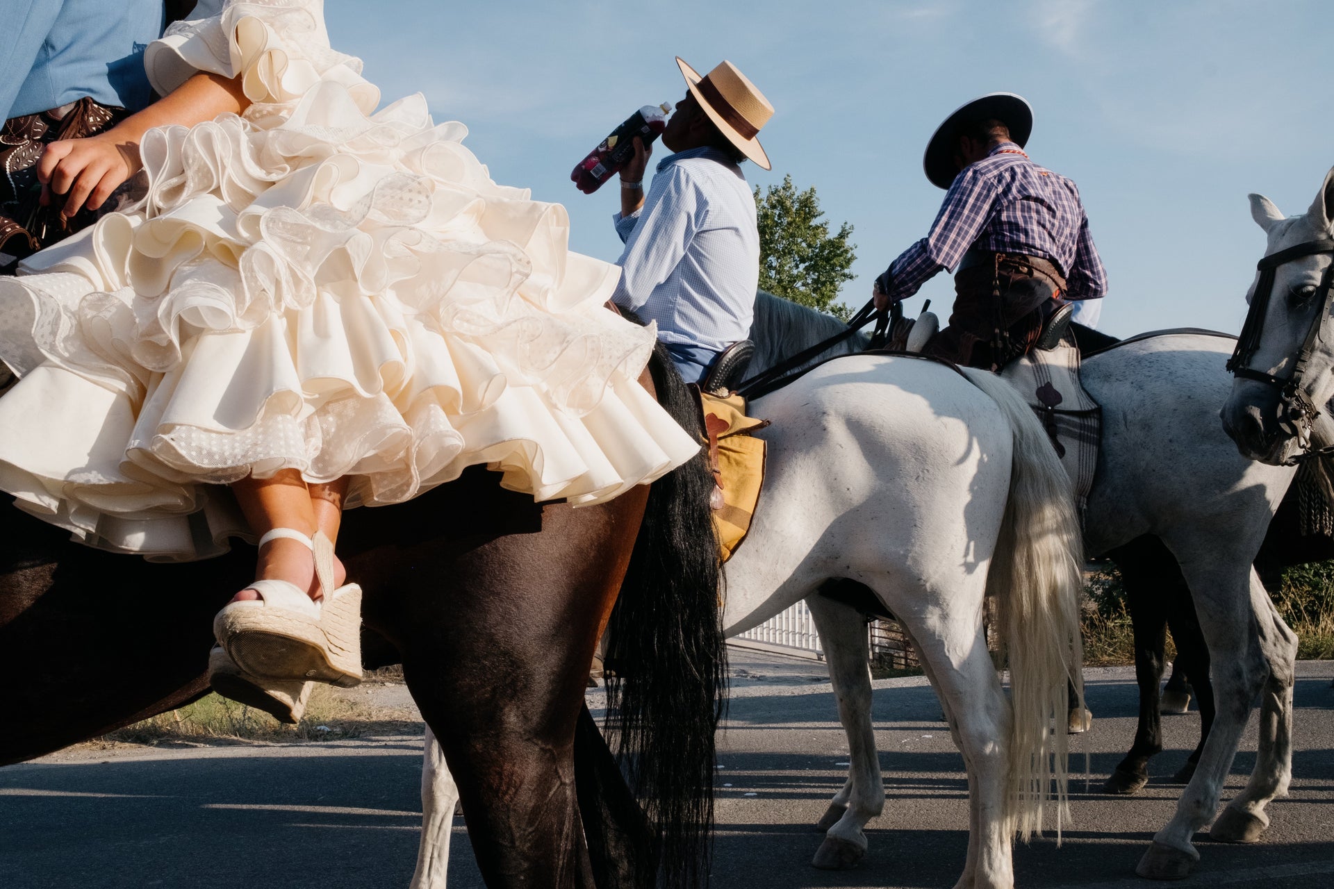 El Rocio - The Dust, The Gold, and The Madness