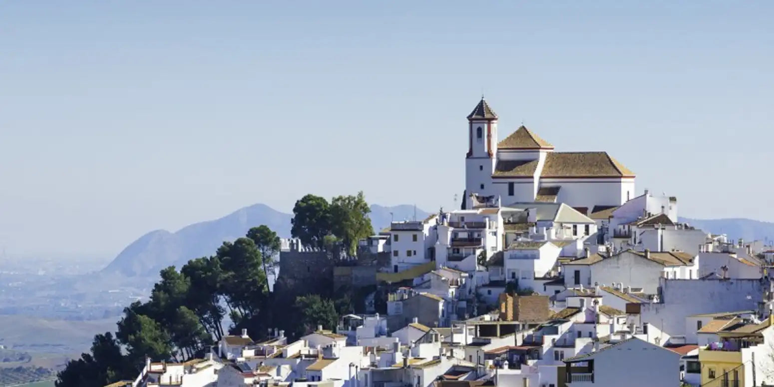Fiesta de la Aceituna - The Mountains Wake Up