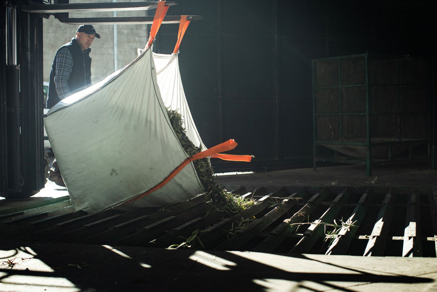 12kg Olives = 1 Litre Oil