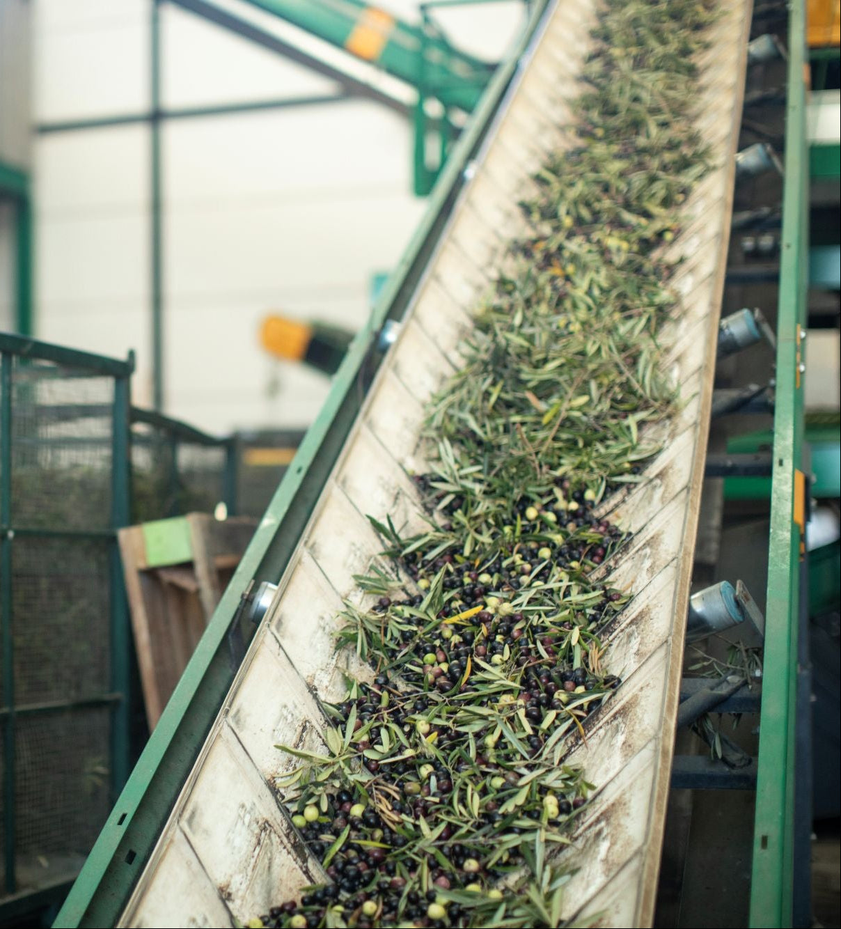 Cold Pressed & Clean