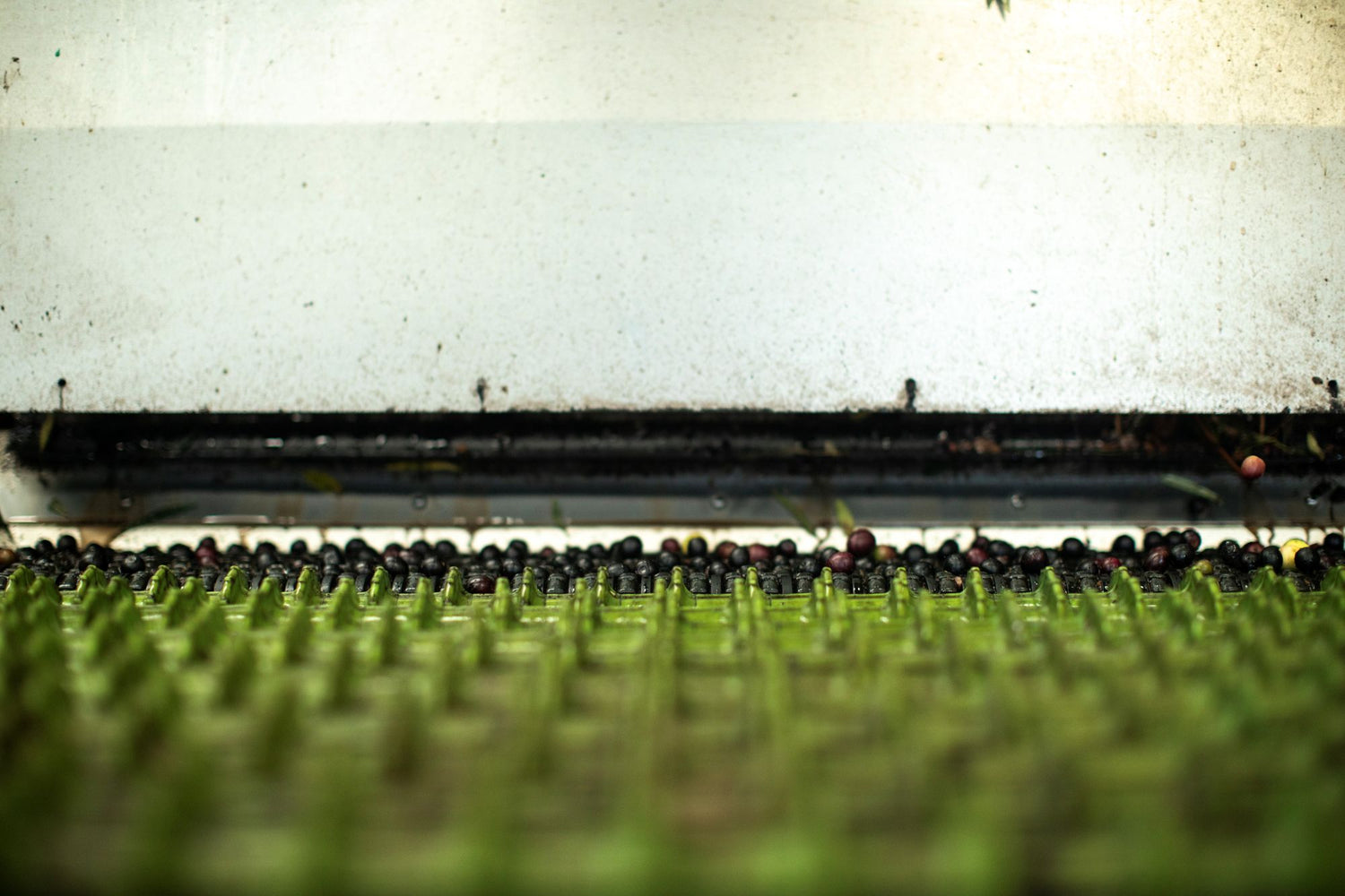 The Race Against Time